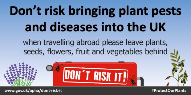 An illustration of a red suitcase with two bugs crawling on it and the words 'Don't Risk It' either side of the suitcase there is an olive branch and a lavender plant. Above this are the words 'Don't risk bringing plant pests and diseases into the UK when travelling abroad please leave plants, seeds, flowers, fruit and vegetables behind