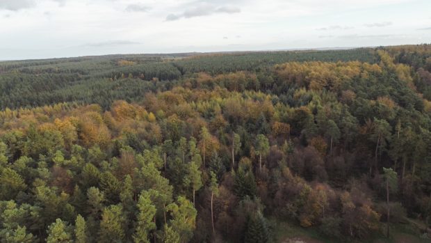 Ariel shot of Dalby Forest