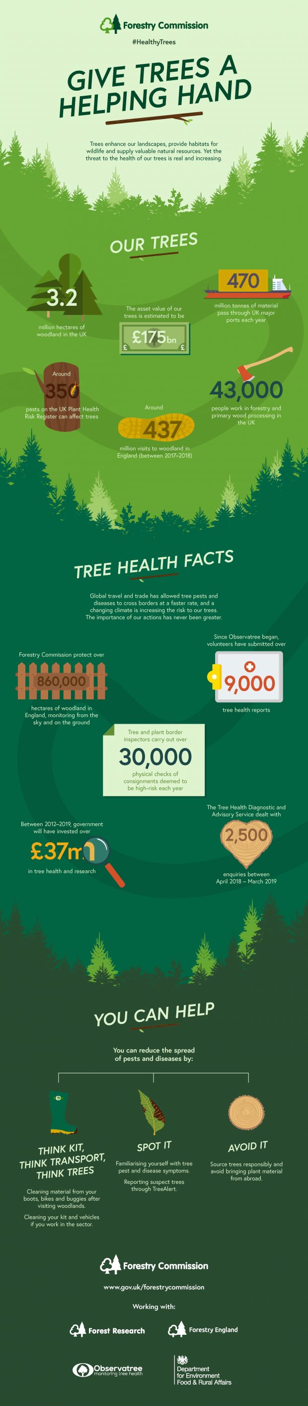 Give Trees A Helping Hand - Infographic - Forestry Commission