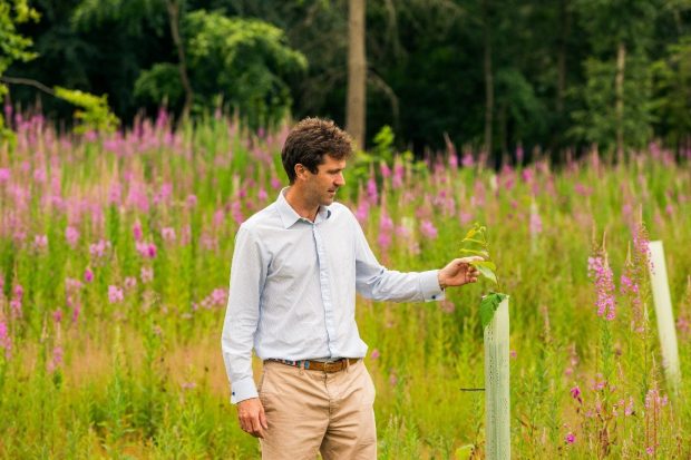 Sir Edward Milbank stood in a field next to a sapling