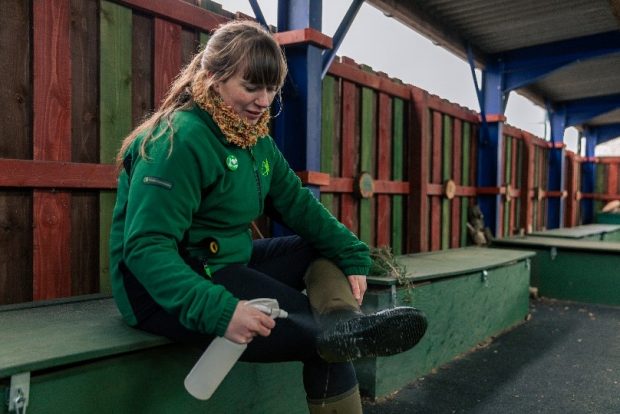 Biosecurity Officer cleaning boots