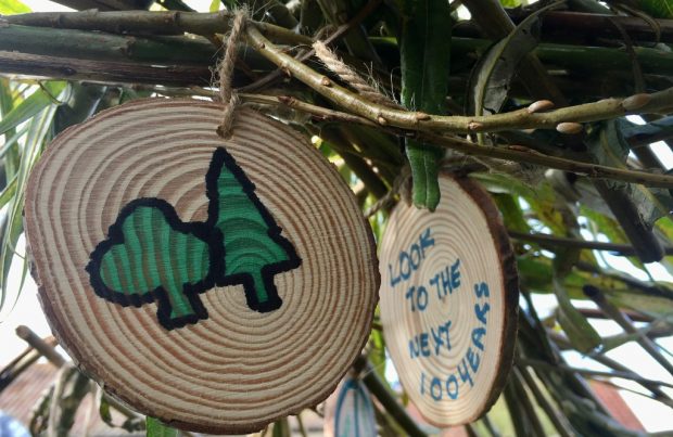 The Forestry Commission logo of two trees is shown on a small circular piece of wood hanging on a tree. Behing it is another piece of wood with the words Look to the next 100 years