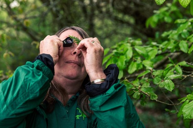 A woman looks through a magnifying glass at a leaf 