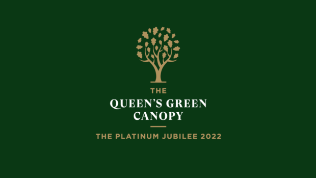 The queens Green Canopy Logo a gold tree on a green background