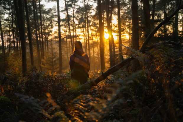 A person stands with their back to the camara in a woodland looking through trees as the sun sets