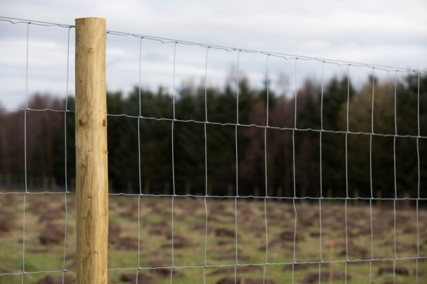 Close up of a deer fence