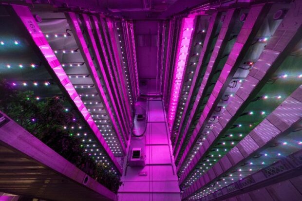 a room of vertical farming technology systems 