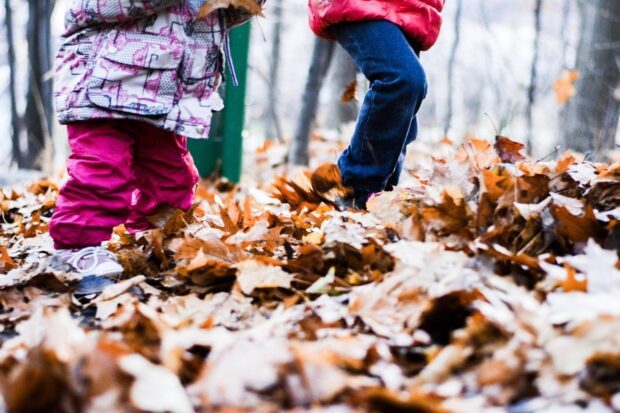 Taken from ground level two children walk through Autumn leaves on the ground