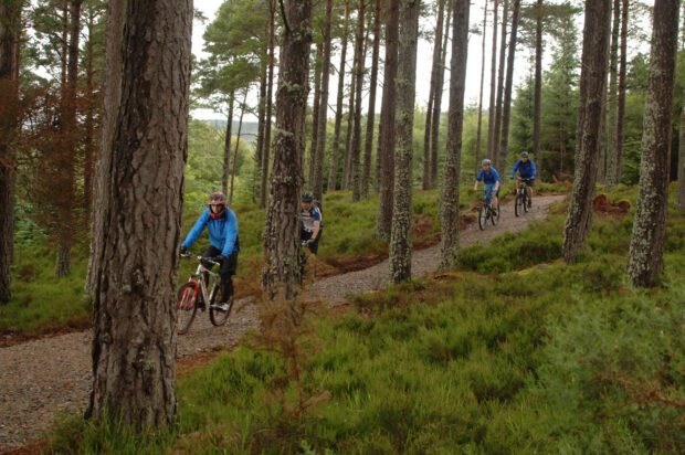 A family cycle through a woodland