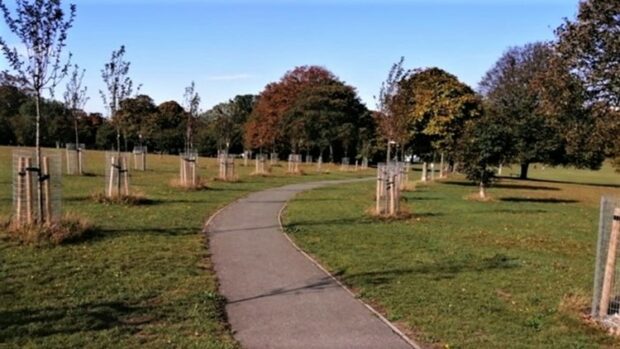 A park with a concerete path winding through the centre of the image and yourng trees surrounded by tree guards either side of it