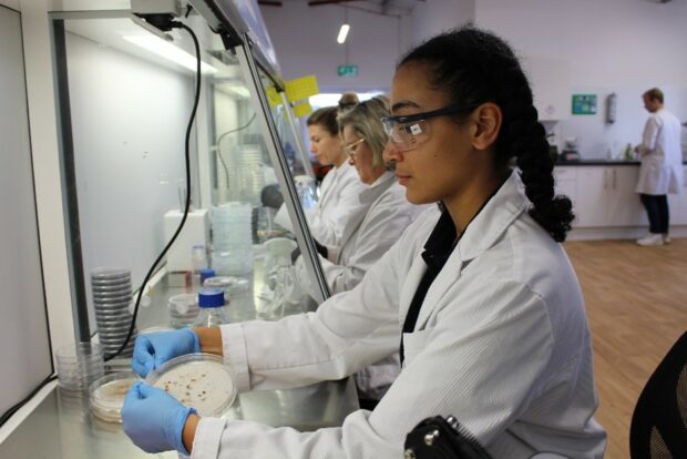 The laboratory team at the bench. 