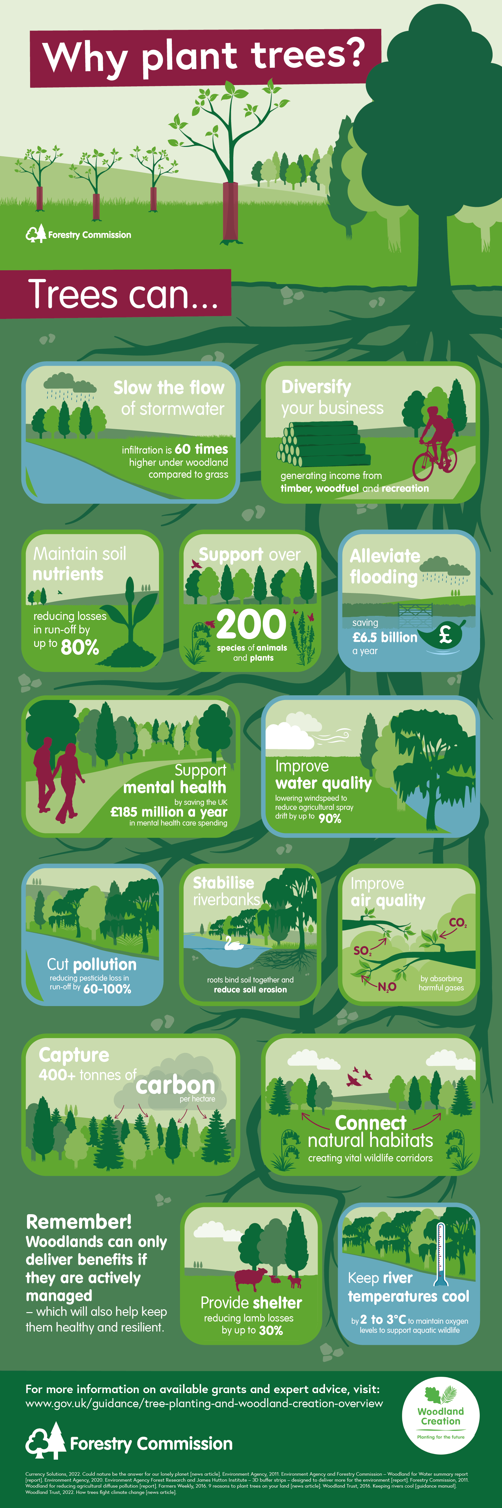 Why plant trees? – Forestry Commission