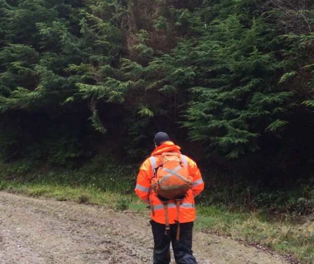 An officer carrying out surveillance of pluvialis