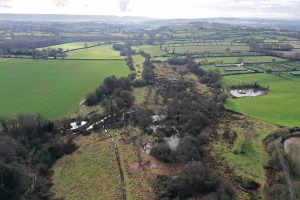 Aerial shot of watercourses amongst trees
