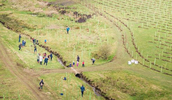 Aerial view of the local community planting trees next to a stream with obvious tree planting in the background