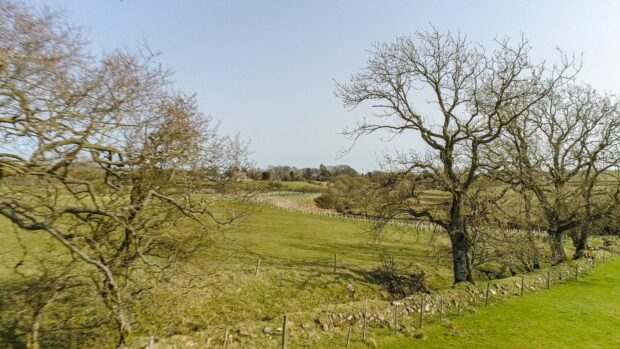 A farm in northumberland with tree planting on