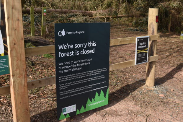 a sign at the entrance to a Forestry England site saying 'we're sorry this forest is closed'