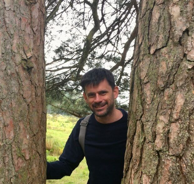 How we’re working to improve the England Woodland Creation Offer ...