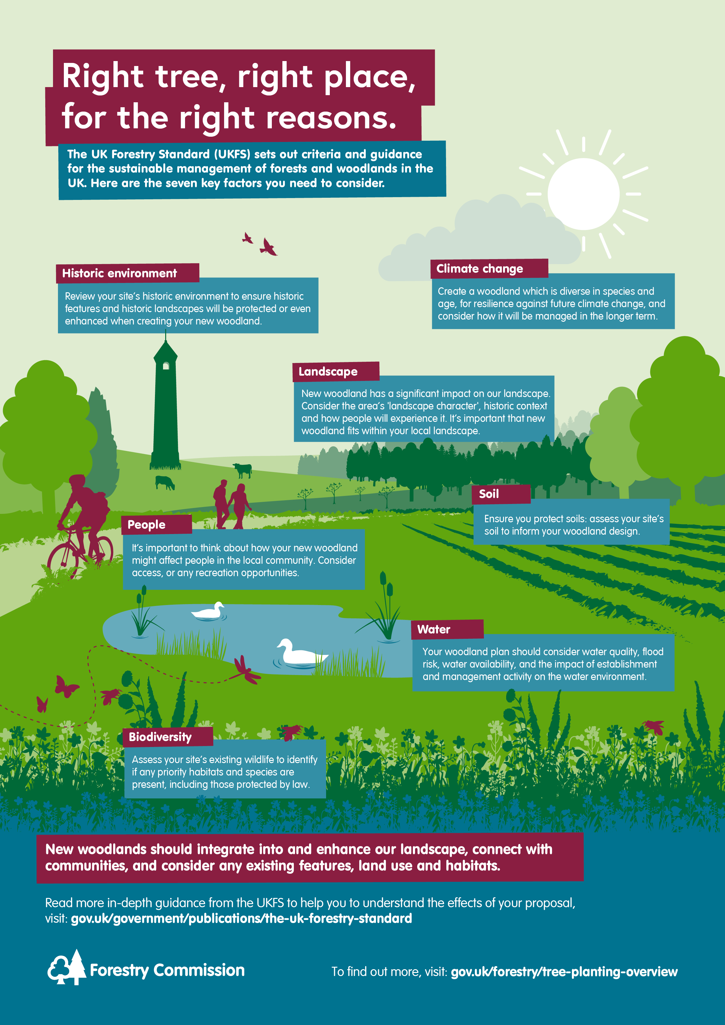 Infographic - seven key factors to consider when planning new woodland