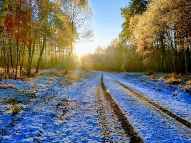 A snow covered track in a woodland with a low sun shining through the trees