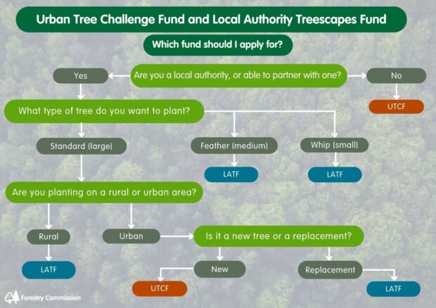 A flow chart to help you decide which fund will support funding for each size of tree in different locations. The table underneath has the same information in an accessible format.