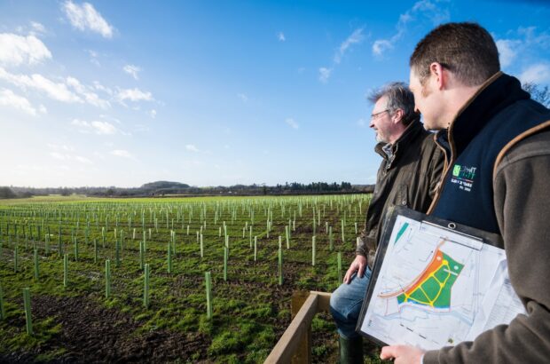 Two people stand on a platform looking at a field of newly planted trees in tree tubes