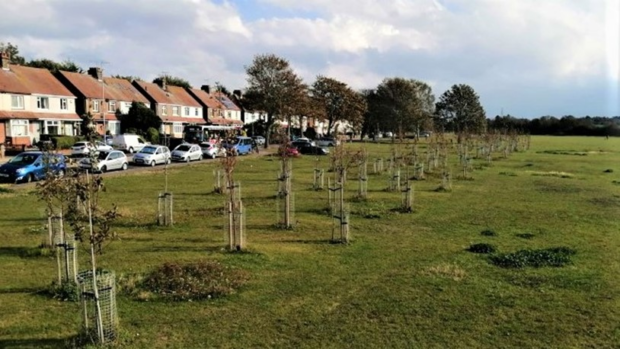 Tree planting on fields in front of a row of houses