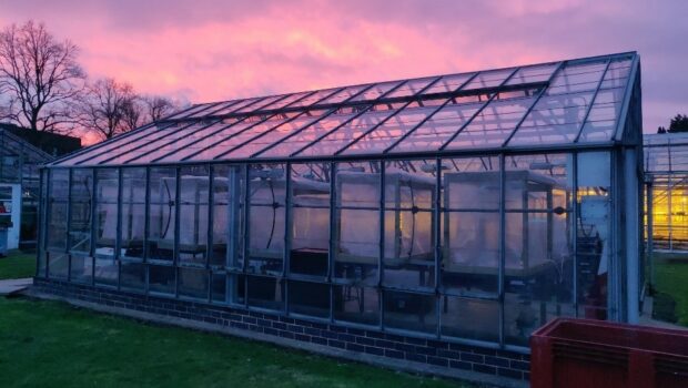 A large greenhouse in the evening