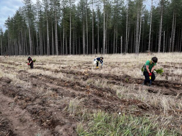 Apprentices tree planting