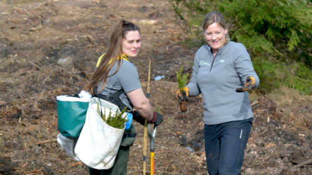 Two apprentices tree planting