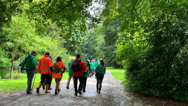 A group of apprentices walking away along a path in an arboretum in summer