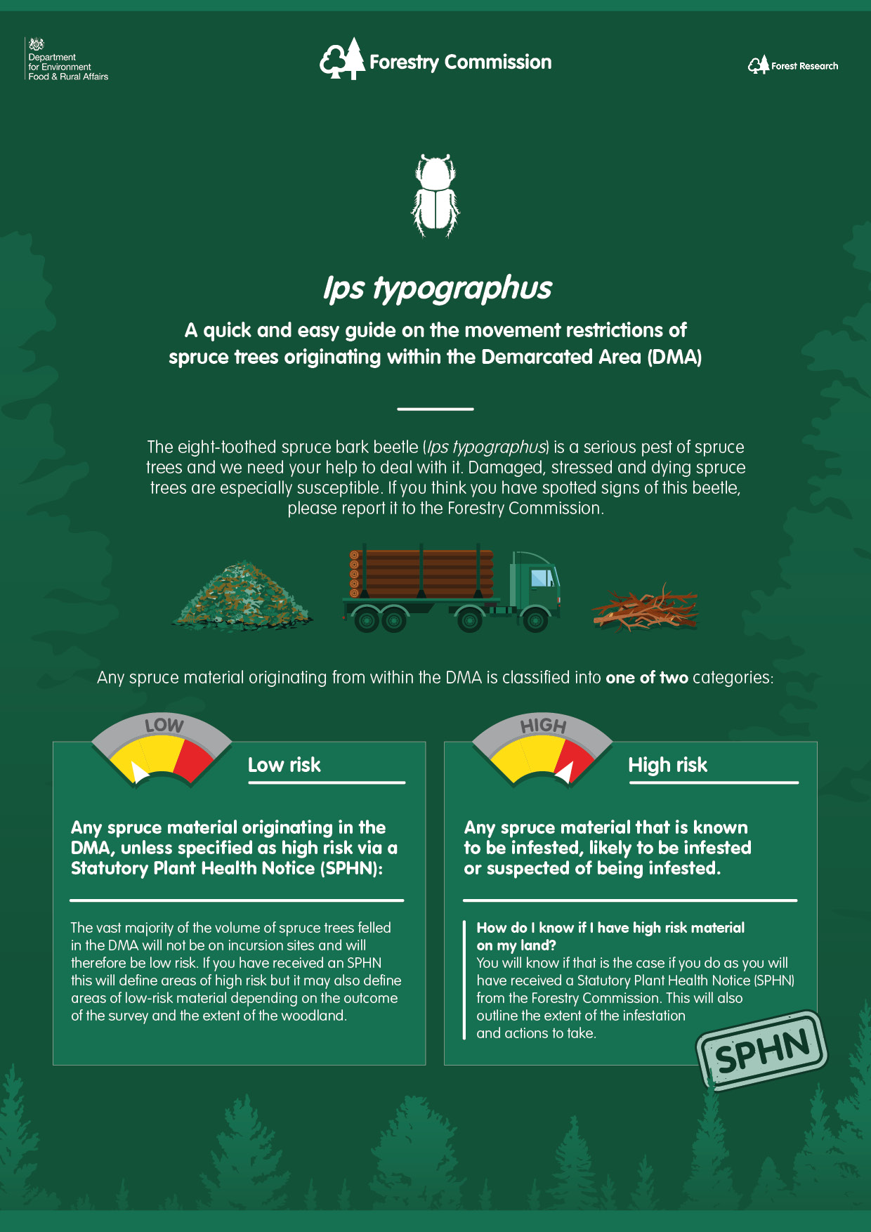 Ips typographus: Guidance on the movement restrictions of spruce trees