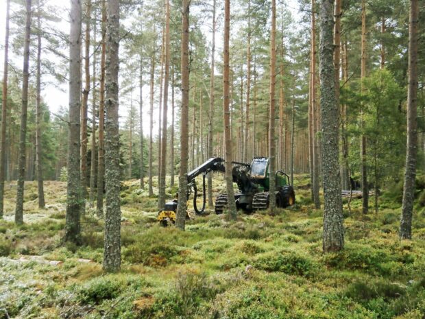 specialist harvesting machinery carrying out thinning operations