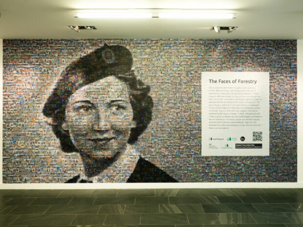 The full LumberJill Image made up of 2000 smaller images in the People's Picture 'The Faces of Forestry'