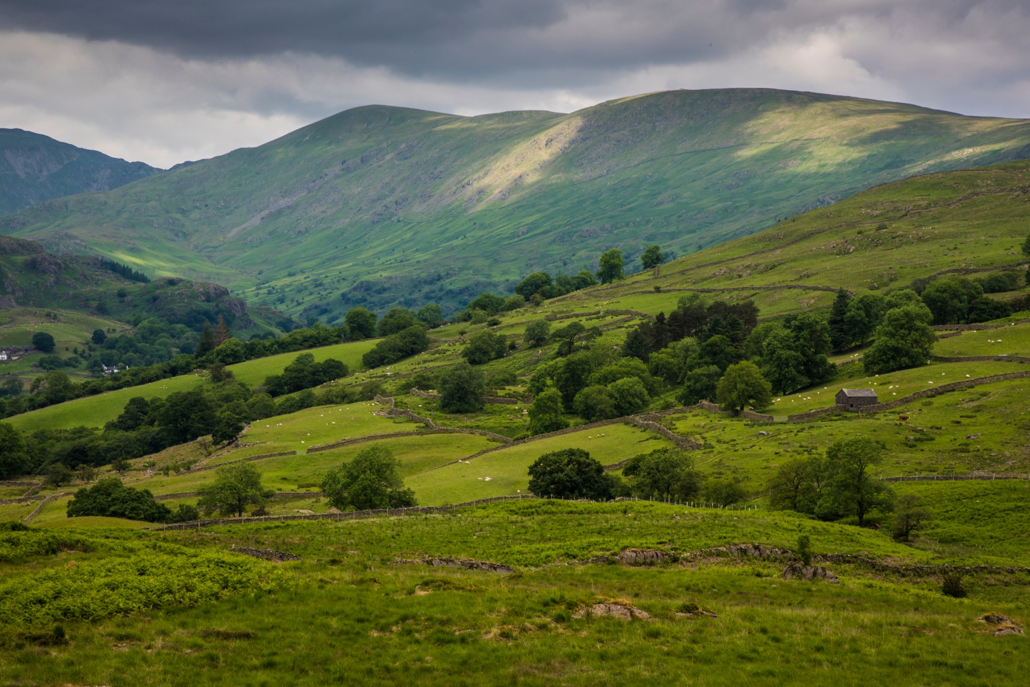Why is landscape design so important to woodland creation? Forestry