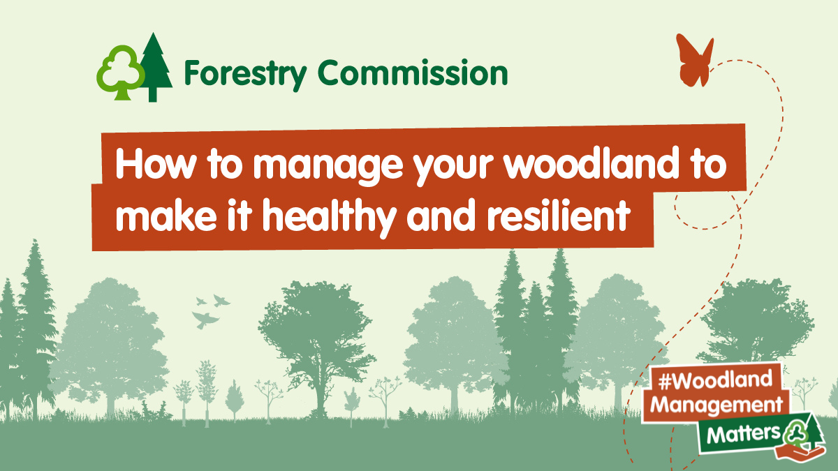 Woodland Management Techniques Forestry Commission