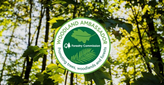 The Woodland Amassador stamp with the name of the programme and the words 'Promoting trees, woodlands and forests'