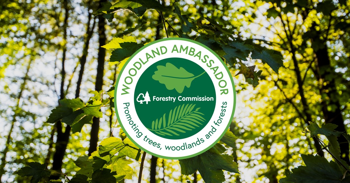 Introducing the Woodland Ambassador programme Forestry Commission