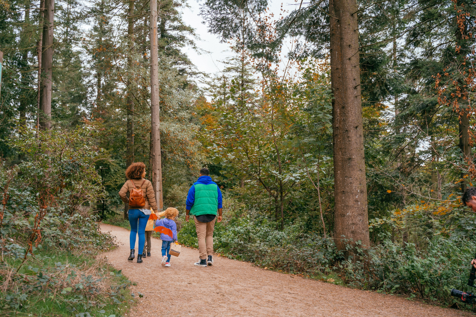 Thriving for the Future: Seizing the moment for trees, woods and ...