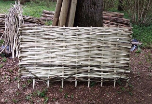A piece of fancing made from weaved bits of hazel