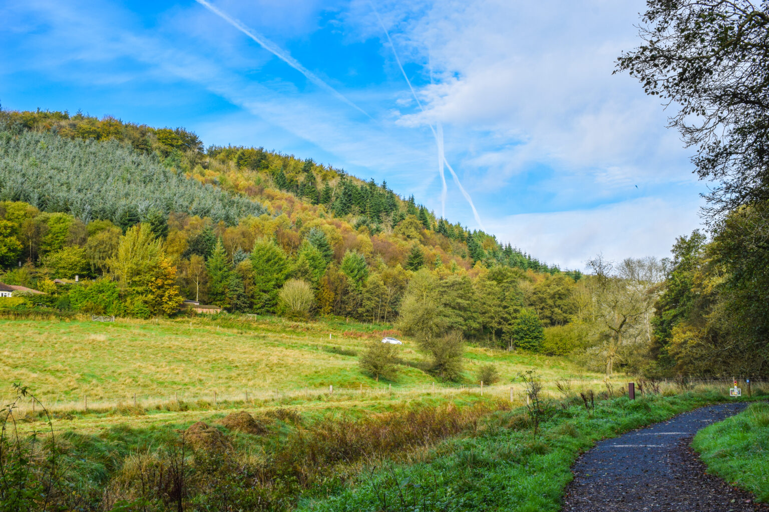 National Tree Week 2023 Forestry Commission