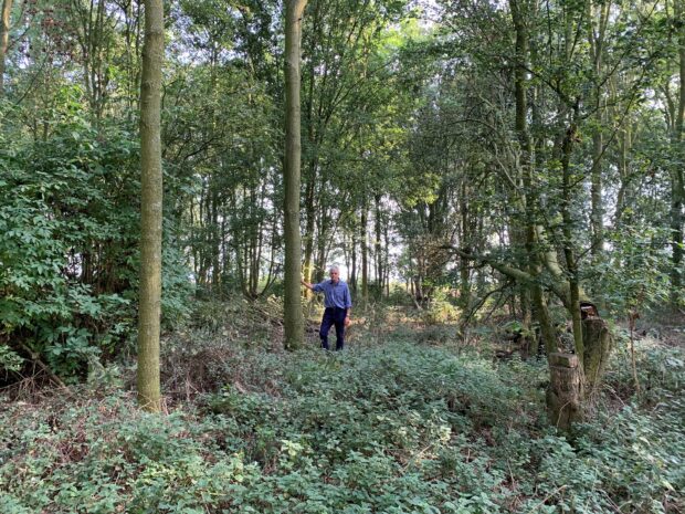 Hugh Dorington standing in her woodland