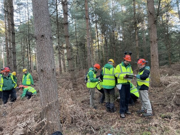 the team on a training session for measuring felled timber 