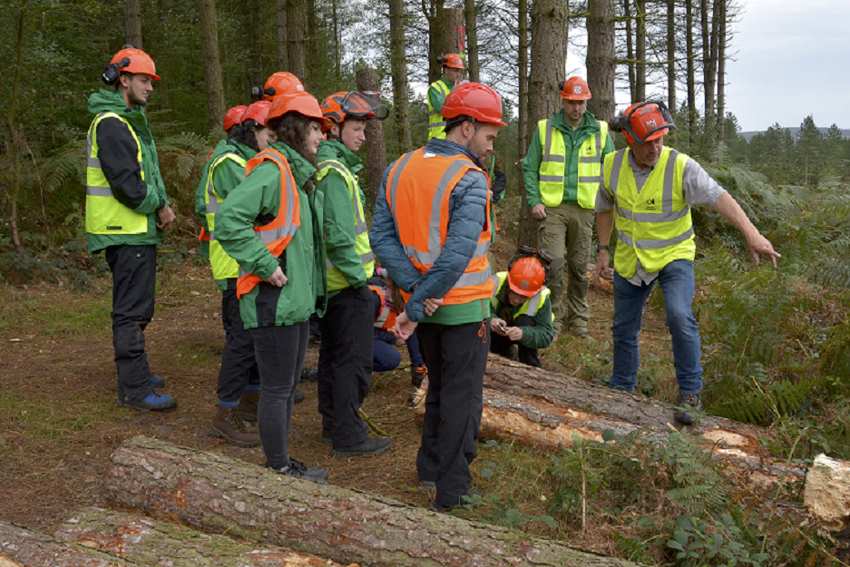 England Tree Planting Increases for 2022/23 – Forestry Commission