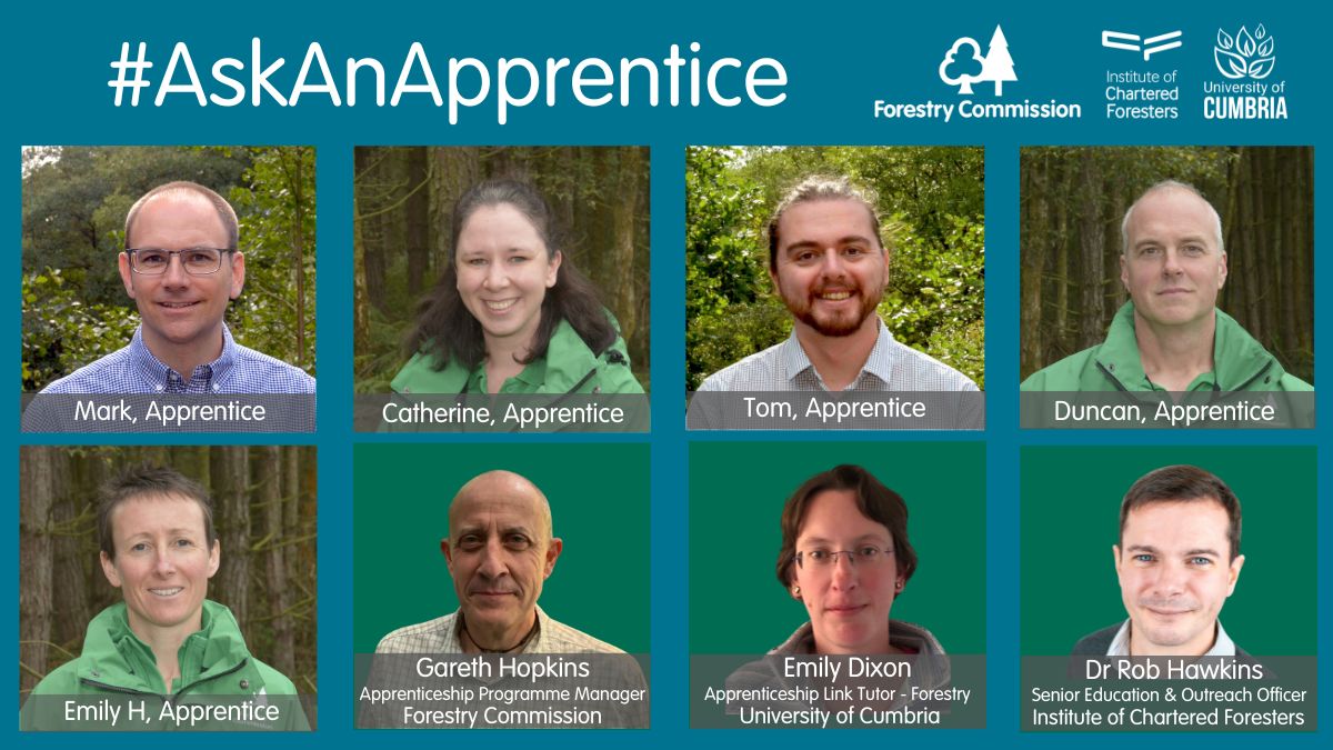 Ask an Apprentice 2024 Your Professional Forester Apprenticeship