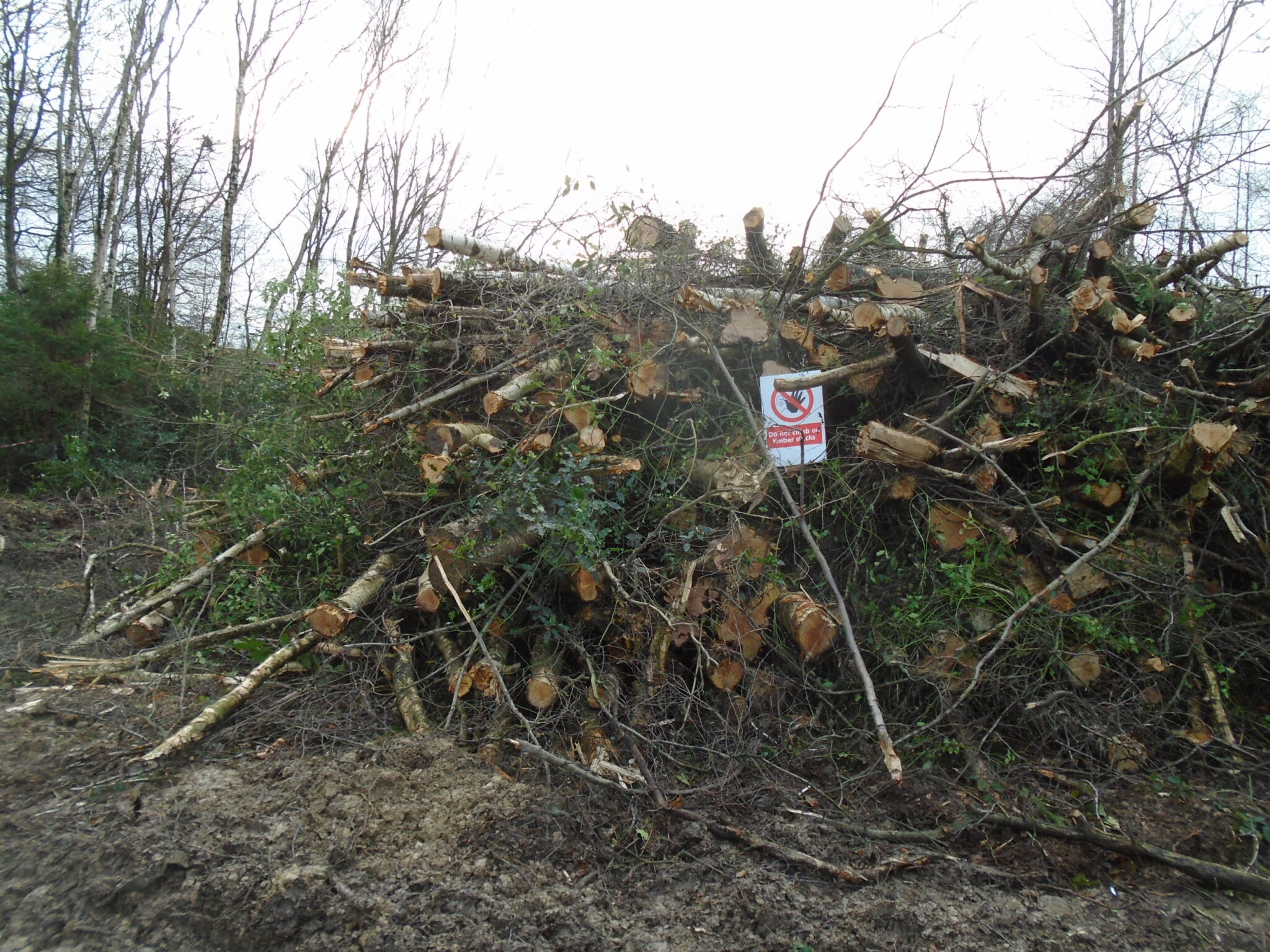 How we’re using the power of the courts to clamp down on illegal