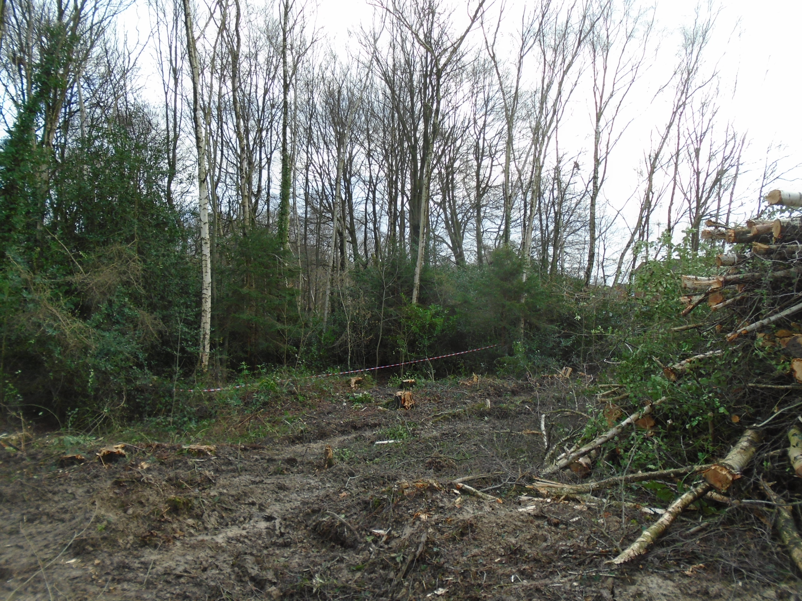 How we’re using the power of the courts to clamp down on illegal