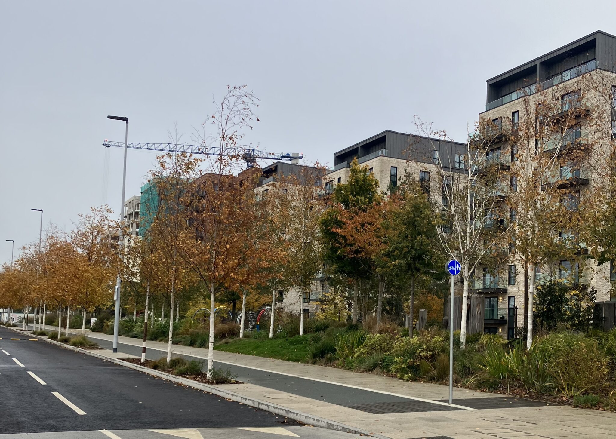 Biodiversity net gain what can we expect for trees and woodlands