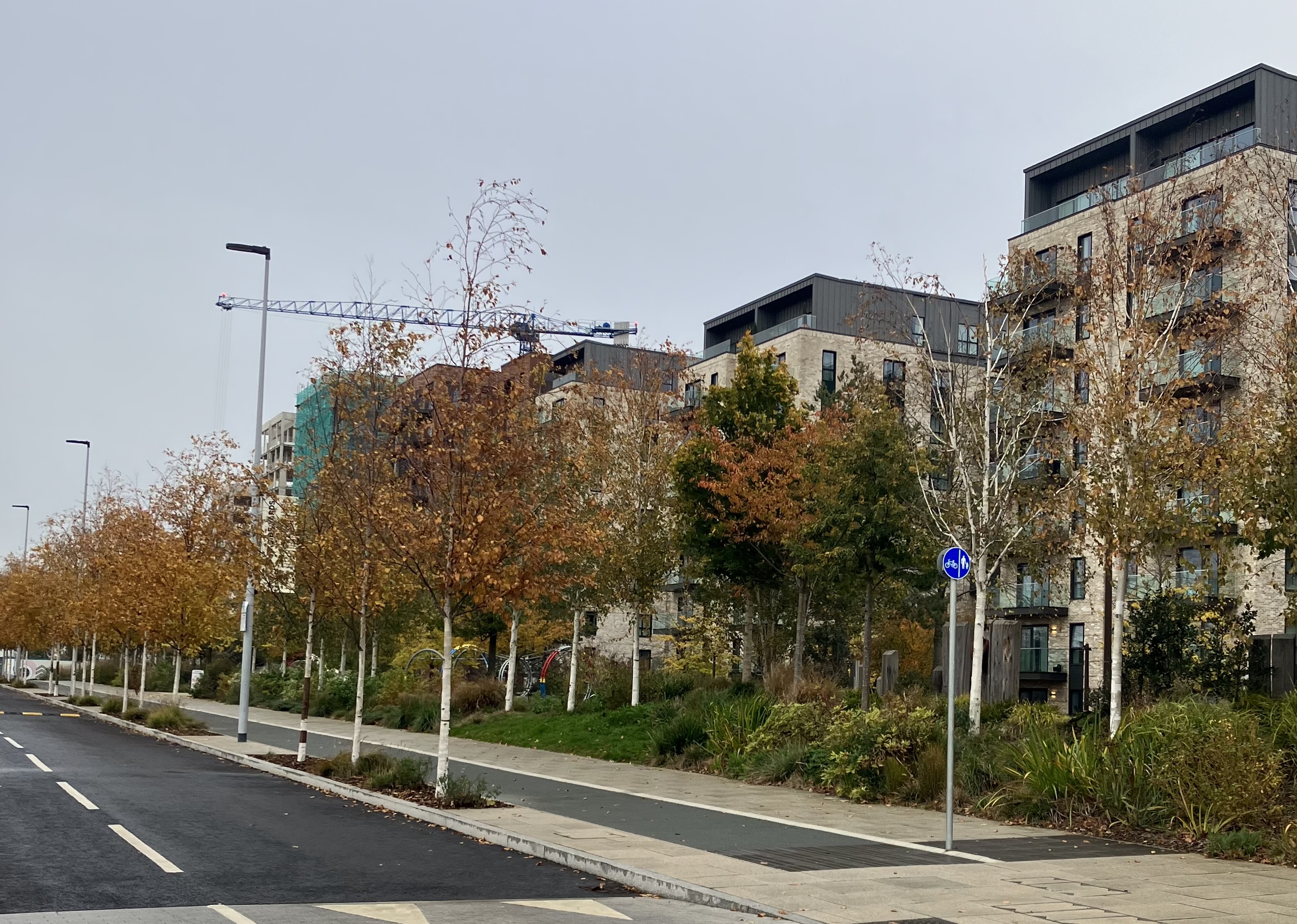 Biodiversity net gain what can we expect for trees and woodlands