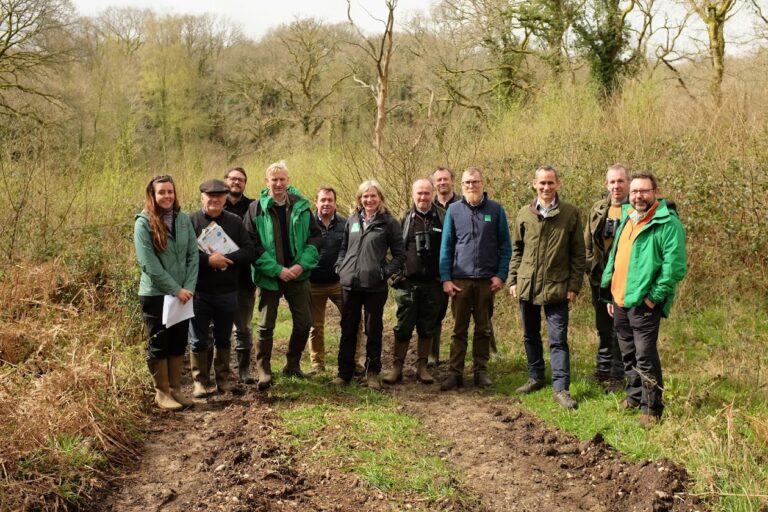 Working Together To Meet Government Targets For Tree Planting In 